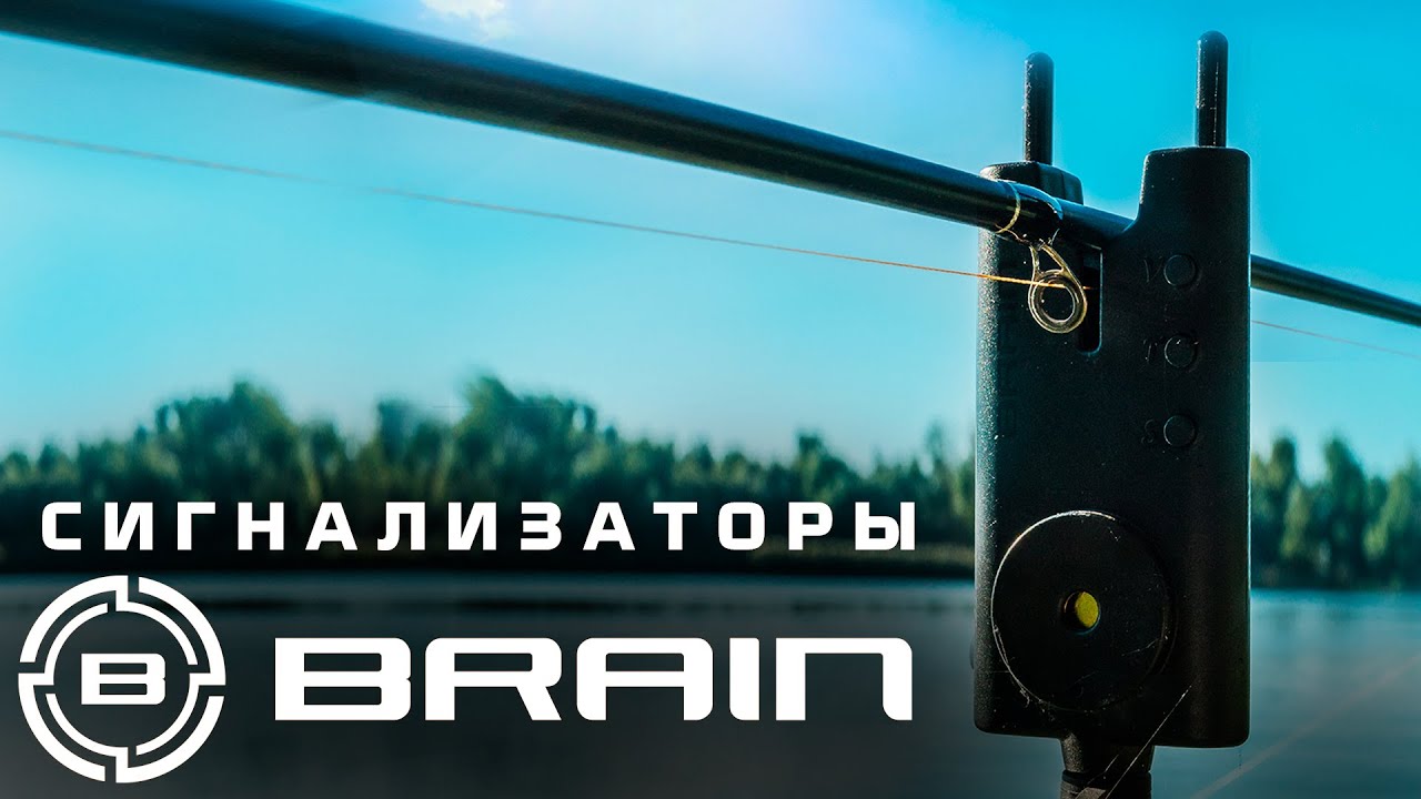 Обзор карповых сигнализаторов и лагерной лампы Brain