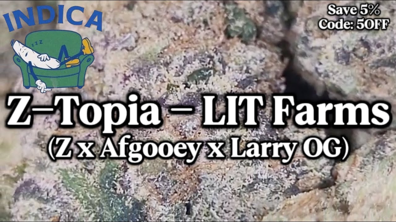 Z-Topia - LIT Farms THCa Flower Review & Macro Shots (Supreme Tier) Super Strong Indica, Potent
