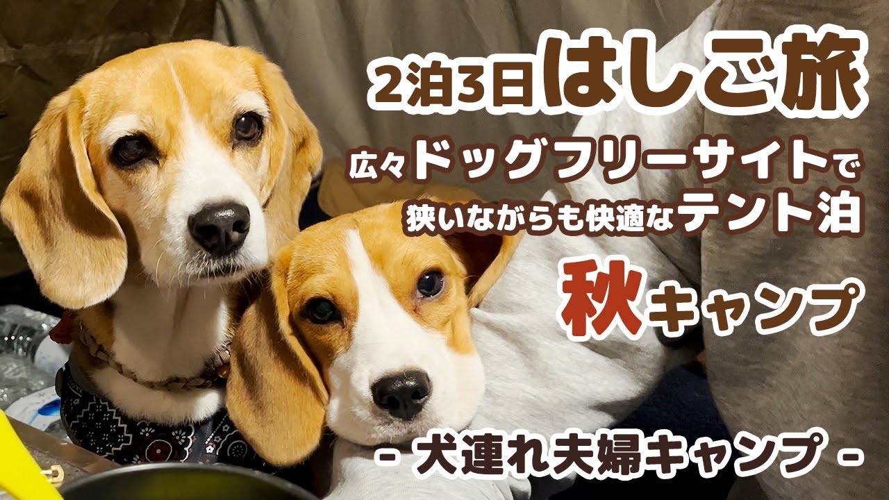 【キャンプ】 広々ドッグフリーサイトでワンコと一緒にテント泊　2泊3日はしご旅【長野編】 -犬連れ夫婦キャンプ-