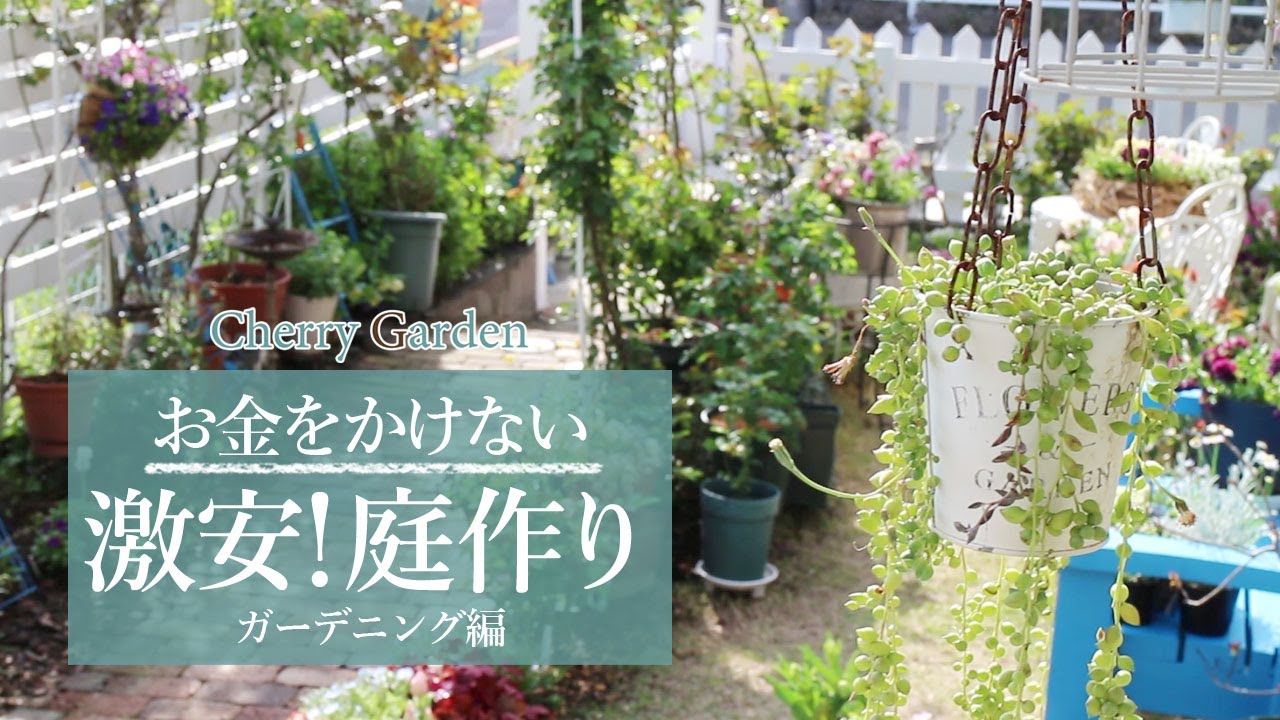 【庭作り】お金をかけずに激安で庭を作る方法！ーガーデニング編ー