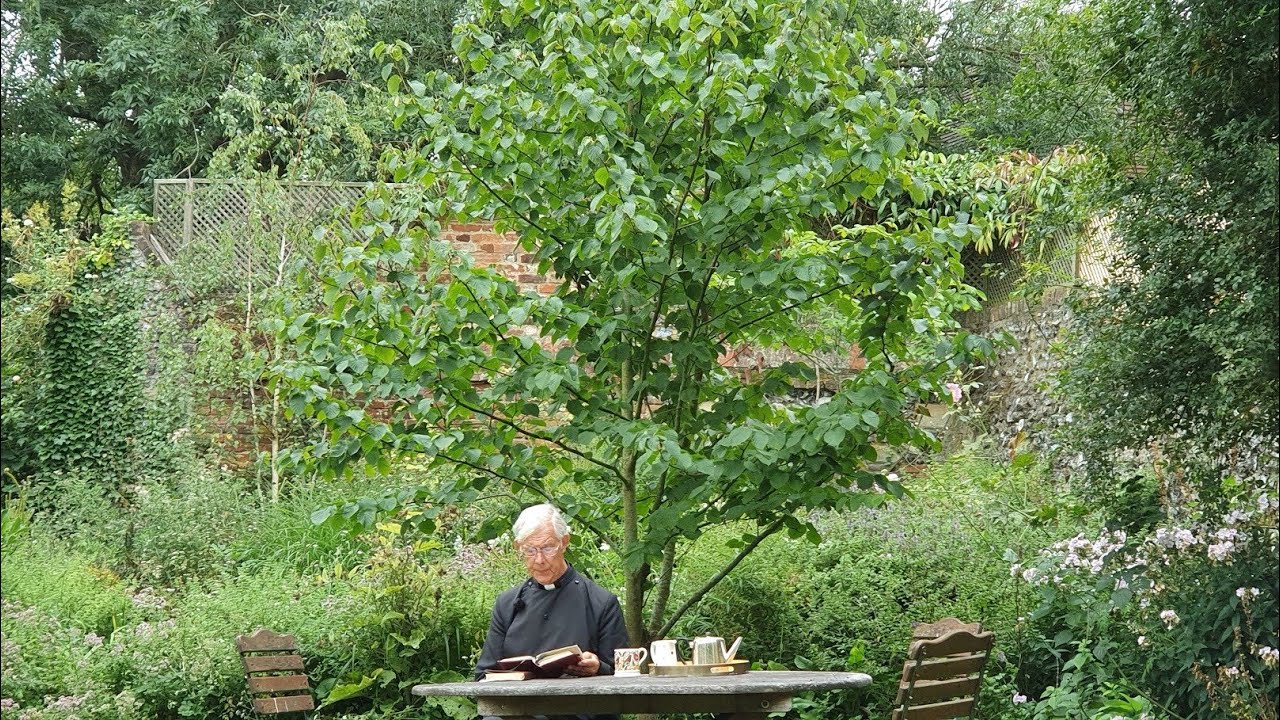 Morning Prayer – Friday, 14th August 2020