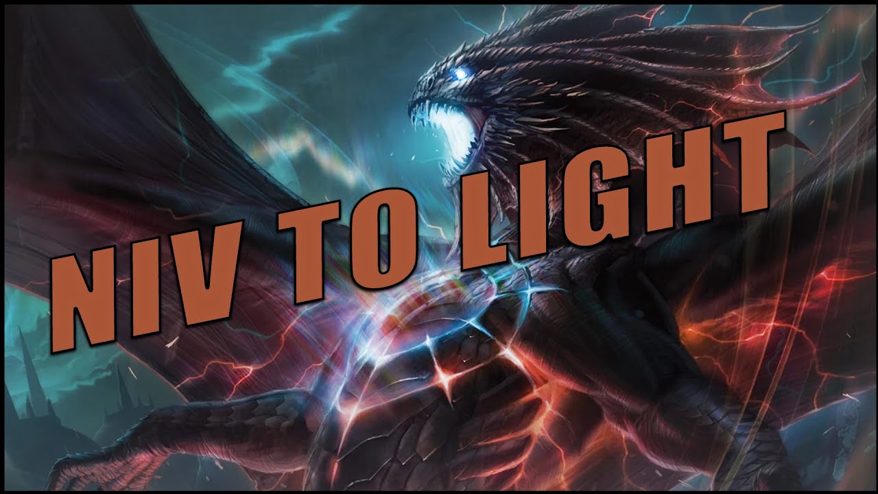 What makes Pioneer Niv to Light great?