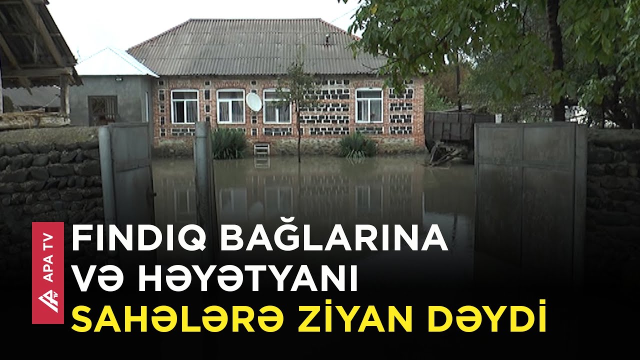 Zaqatalada evlər suyun altında qaldı – “Evləri su basıb, girmək olmur” – APA TV