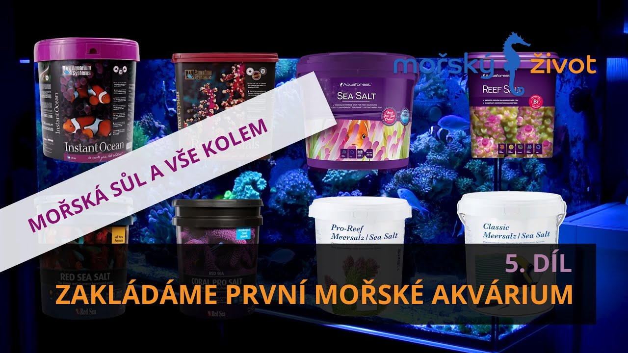 Zakládáme první mořské akvárium 5. dil - Mořská sůl a vše kolem