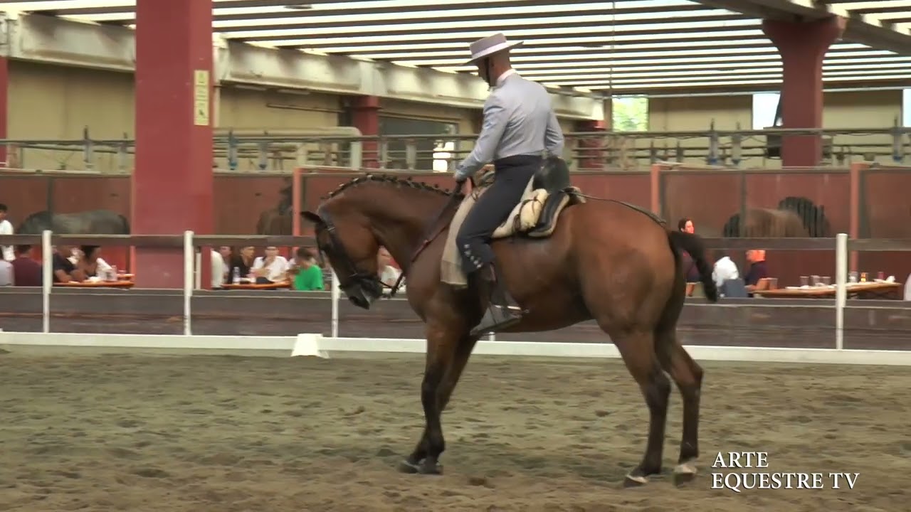 ARTE EQUESTRE TV - 8 - ESIBIZIONE DOMA VAQUERA - DAVID JIMENEZ ROMERO