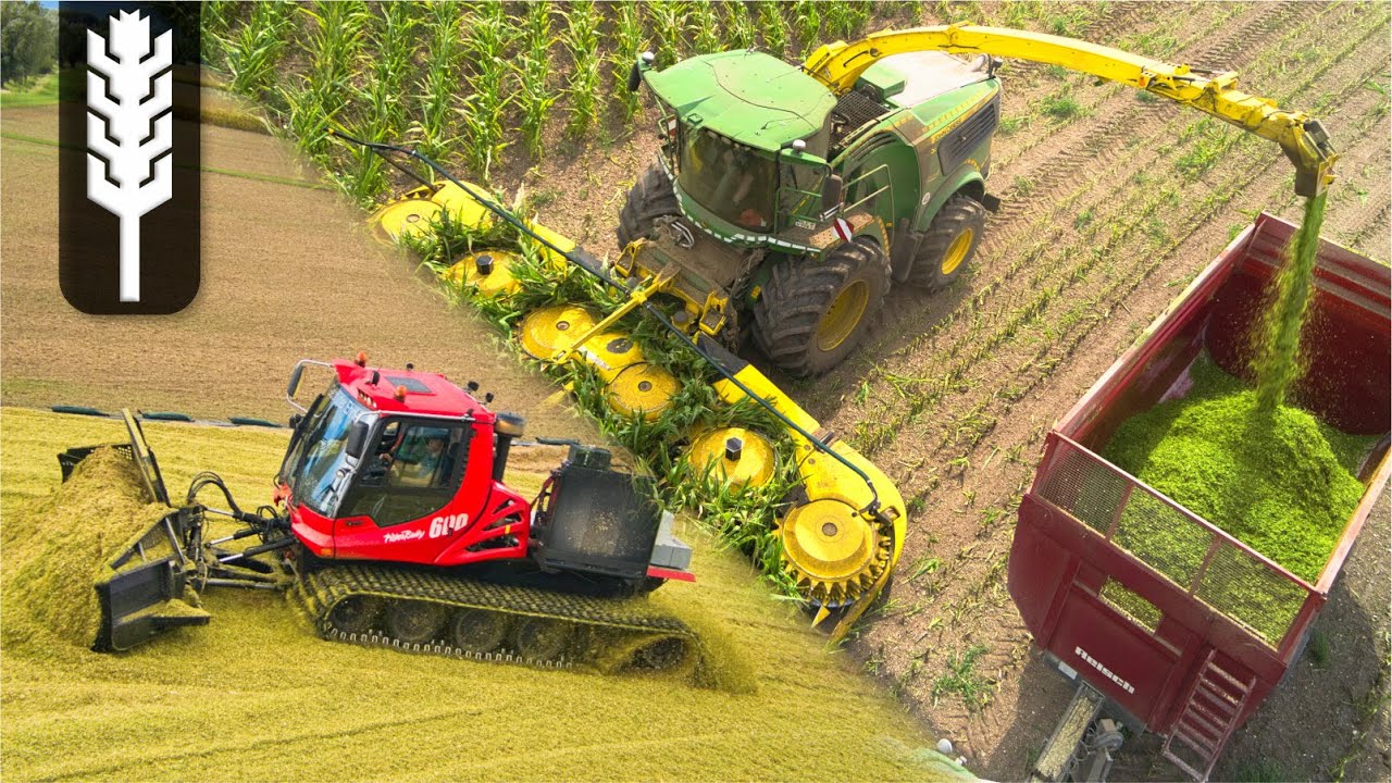 Уборка кукурузы кукурузной гусеницей и John Deere 9900i | Пистенбулли | Измельчение кукурузы