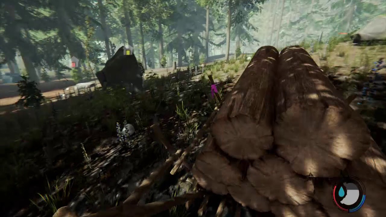 Grim Gaming:  The Forest