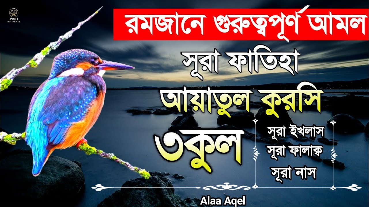 Morning & Night Protection  Fatiha + Ayatul Kursi + 3 Qul  quran recitation  Alaa Aqel