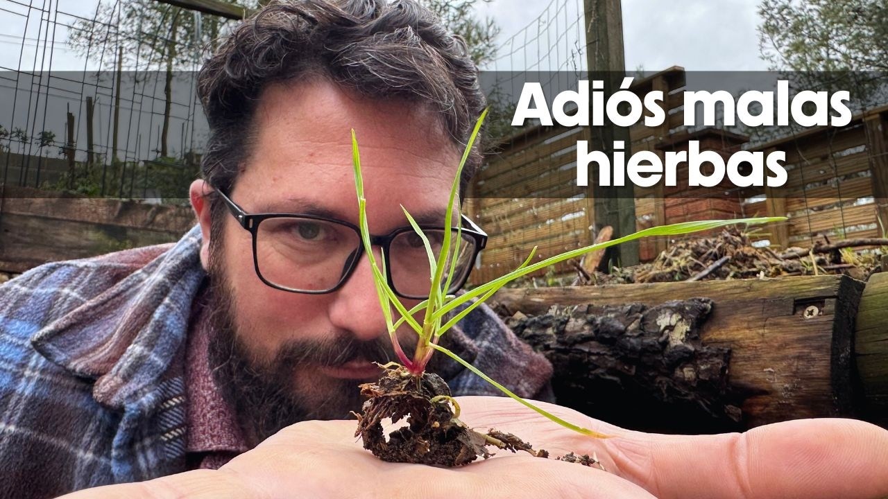Adiós (definitivo) a las MALAS HIERBAS 🌾