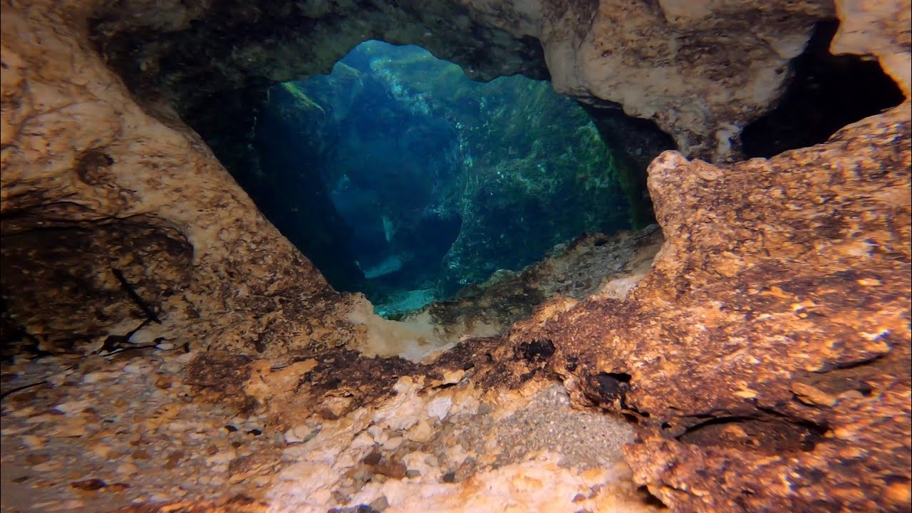 Seven Sisters Springs Chassahowitzka River Florida (freediving the swim-throughs)