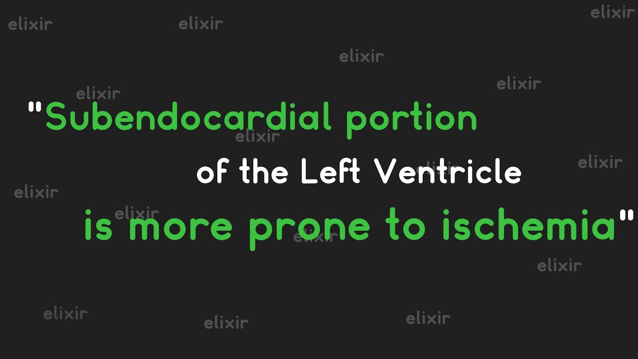 Subendocardial portion of the left ventricle is more prone to ischemia