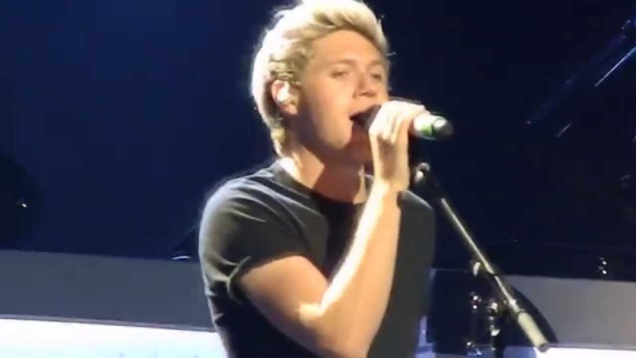 18 - One Direction (Niall Focus)