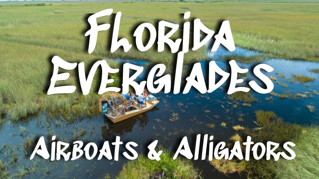 Florida Everglades Tour || Alligators and Airboats