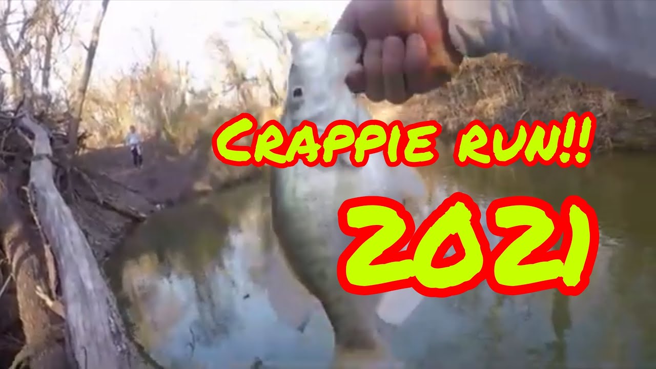fishing for crappie at willis creek granger,tx.