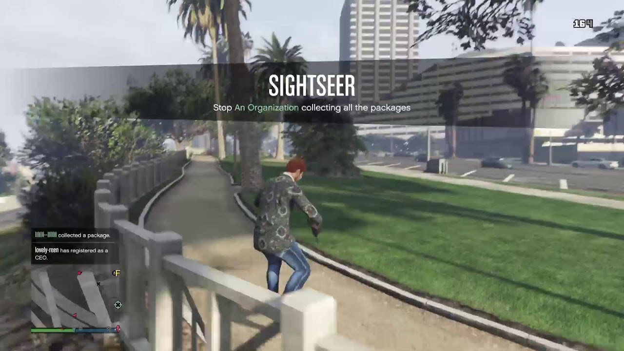 GTA5  Brokenwings