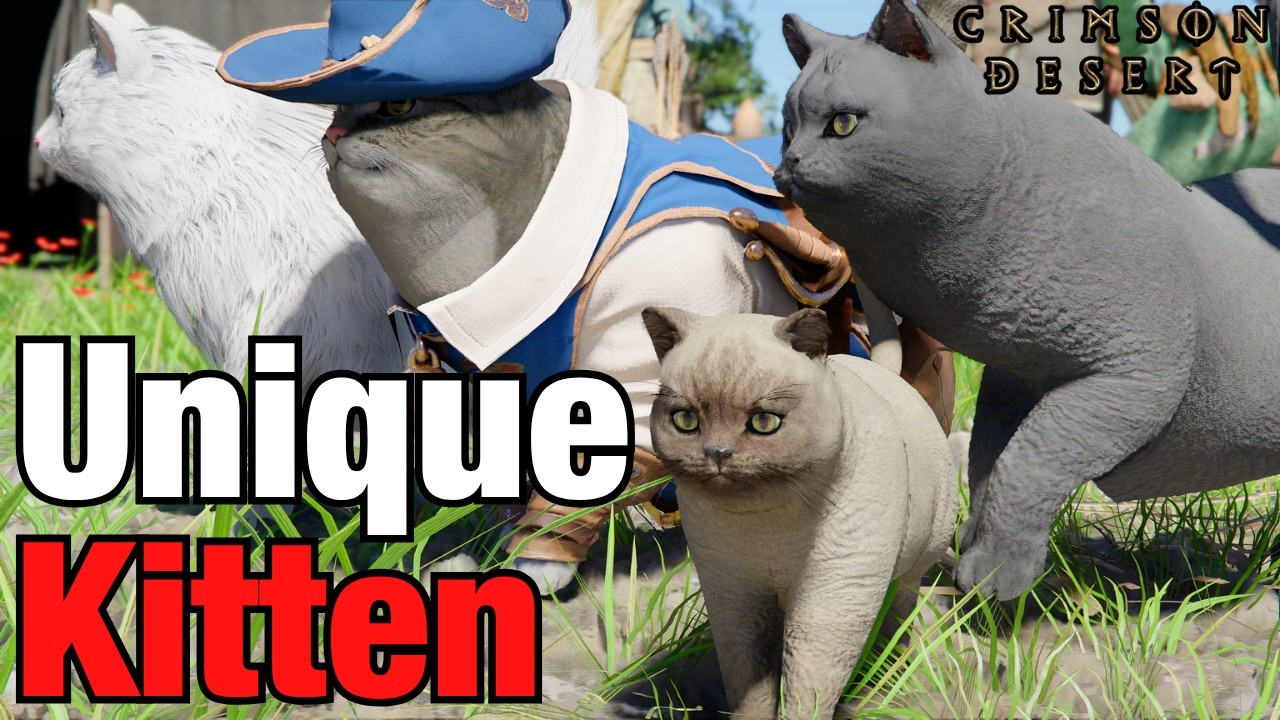 How to Find RARE KITTEN in Crimson Desert (Unique Cat)