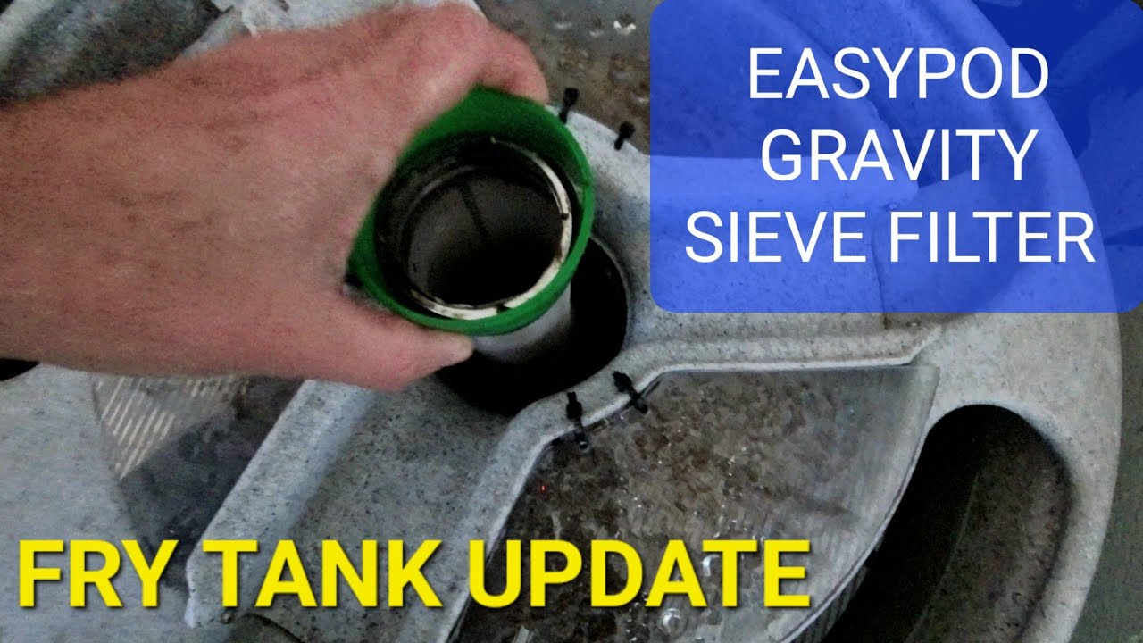 Testing the beer filter in a gravity fed easypod
