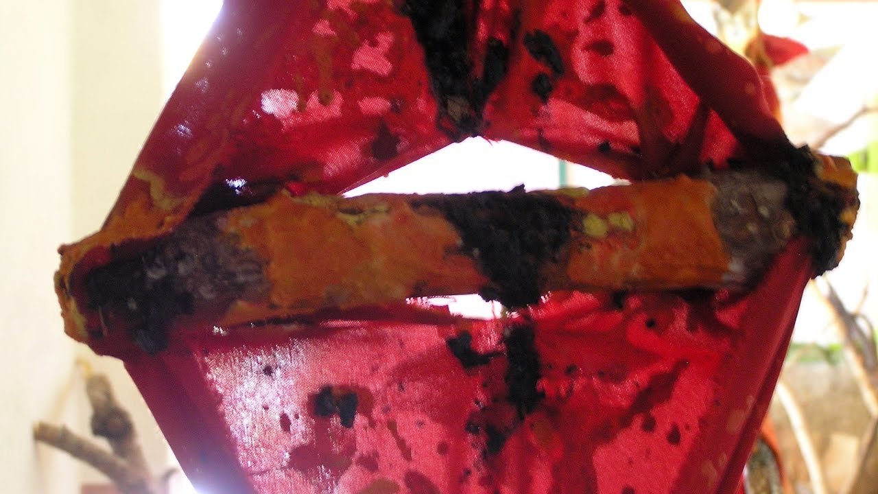 EL CRIT DE LA TERRA III