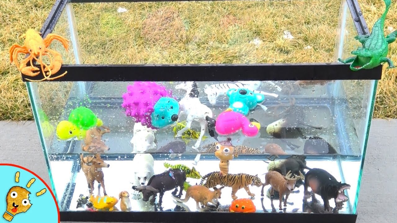 Fun Animal Toys in a Fish Tank by Squishee Nugget!