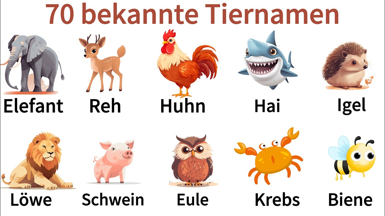 Deutsch Lernen| 70 Tierarten mit Artikel| Sprechen & Hören| A1-B1| Deutsch für Anfänger