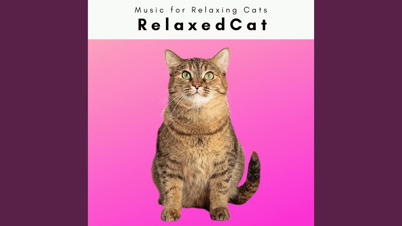 Soothing Deep Relax Sounds for Sweet Sleep