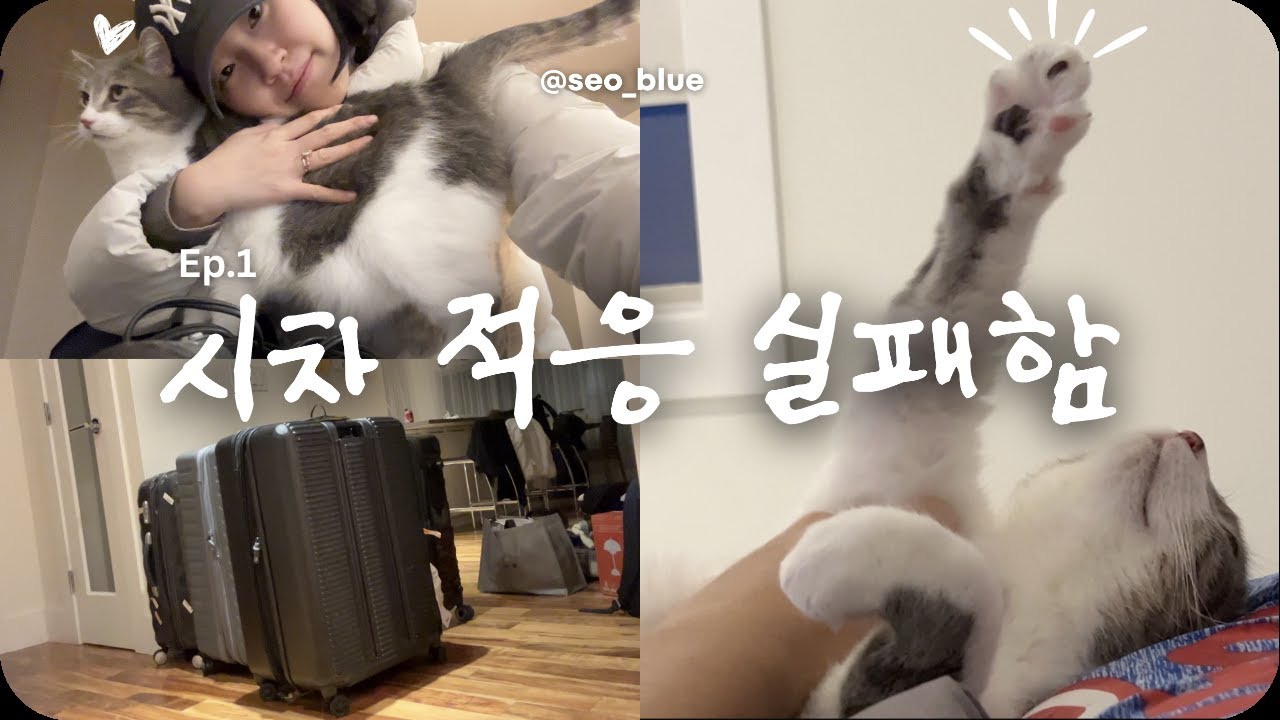 Vlog 고양이랑 함께하는 시차적응기 | We Spent the Year-End in Korea and Jet Lag Destroyed Us in Canada