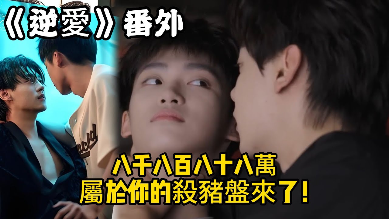 《逆愛》：番外！（95）八千八百八十八萬，屬於你的殺豬盤來了！#田栩宁 #梓渝 #吴所畏 #池骋 #逆爱 #revenged