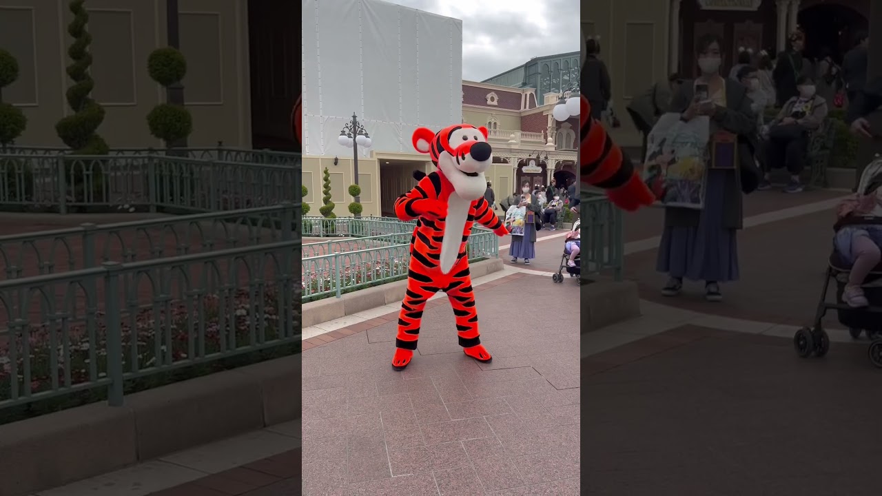 【元気なティガー】 #disney #disneyland #tigger#ティガー#ディズニー#ディズニーランド#shorts