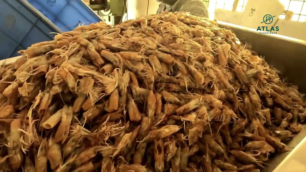 Shrimp Head and Shells Crusher