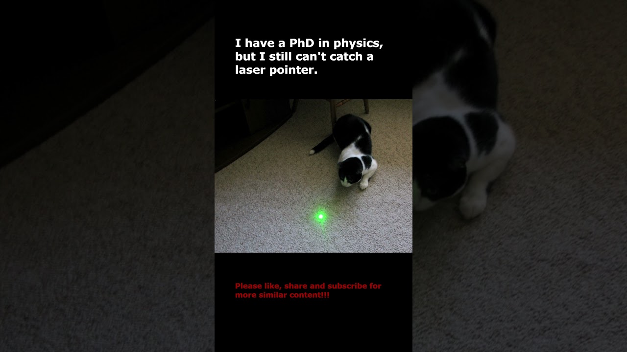Physics cat!!! #science #memes #funny #oldjokes #creativemind #shorts
