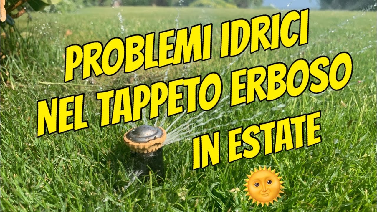 Controllare l'irrigazione del prato - problemi e consigli per l'estate