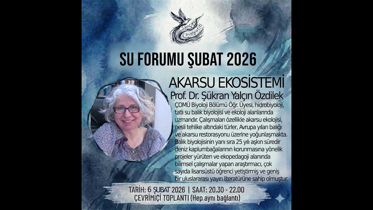 SU Forumu4: Sarıçay Ekolojisi-Yılan Balığı Şükran Özdilek ‪@VasatAktivistler‬