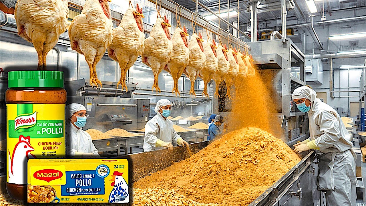How SOY SAUCE and CHICKEN BOUILLON Powder are Made in Factory 🐔