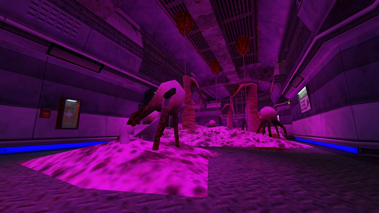 HALF-LIFE: ECHOES - Liberation
