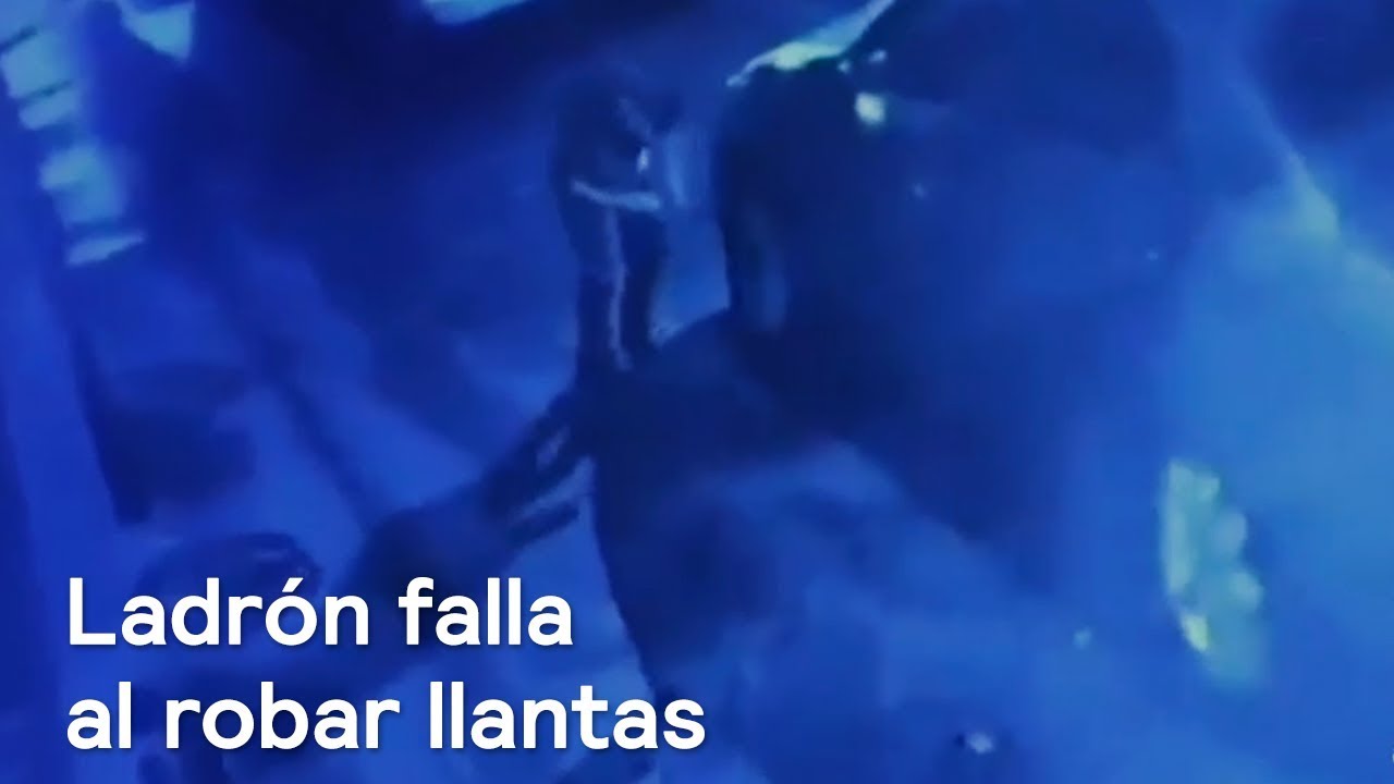 Ladrón falla al intentar robar llantas de auto en colonia Pensil - Las Noticias con Danielle