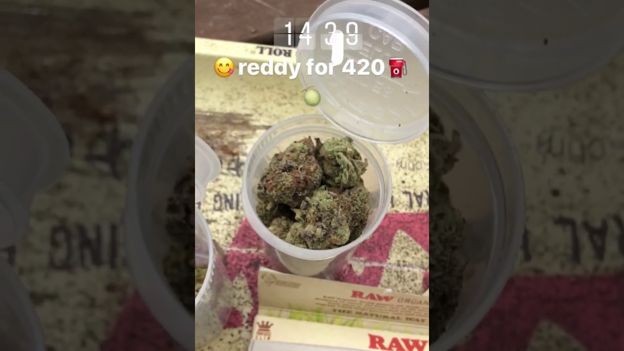 Gelato 420 2017 cookies FS