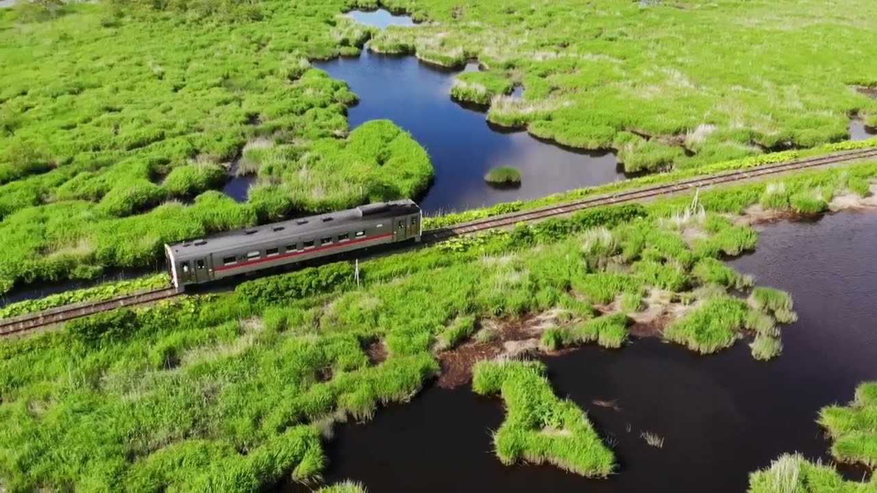 花咲線하나사키선 운행 모습