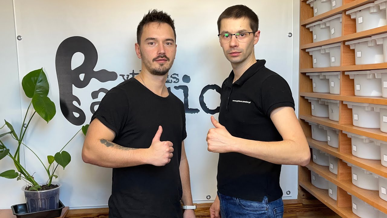 Sobotnia wizyta w hodowli regiusów, czyli pytony królewskie z Pythons Passion 🐍