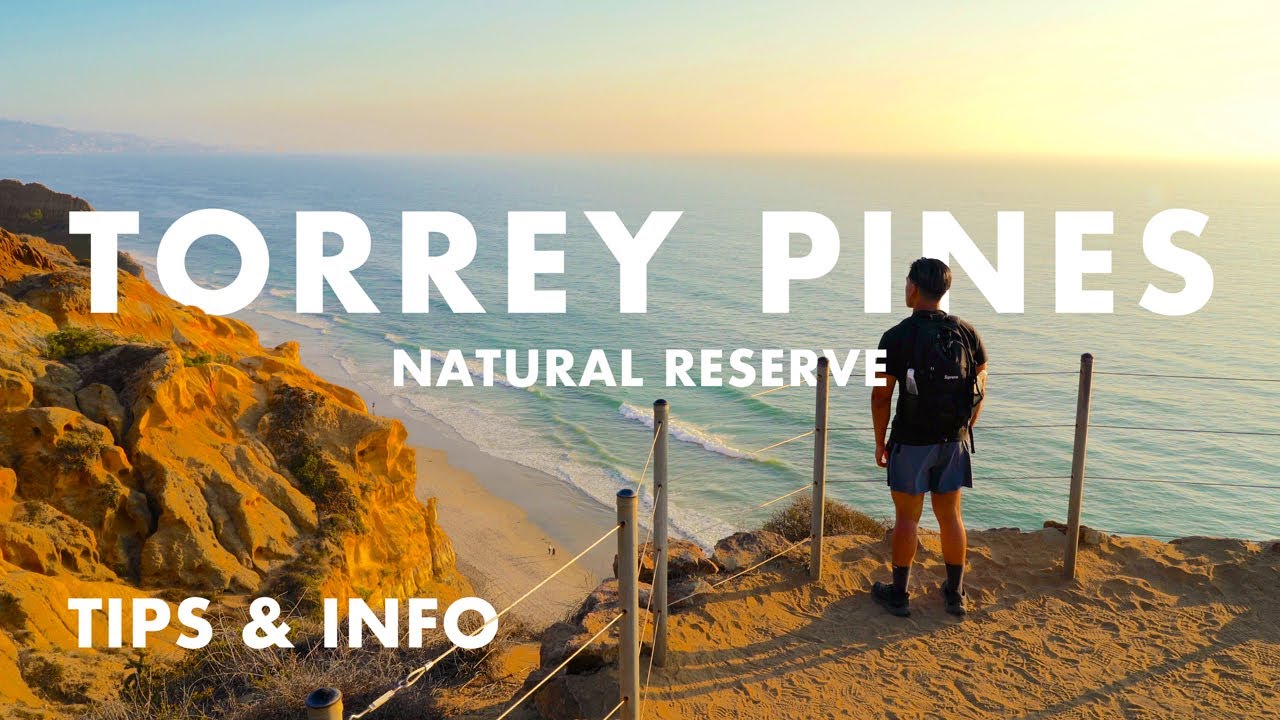 Hiking Torrey Pines Natural Reserve in San Diego, California