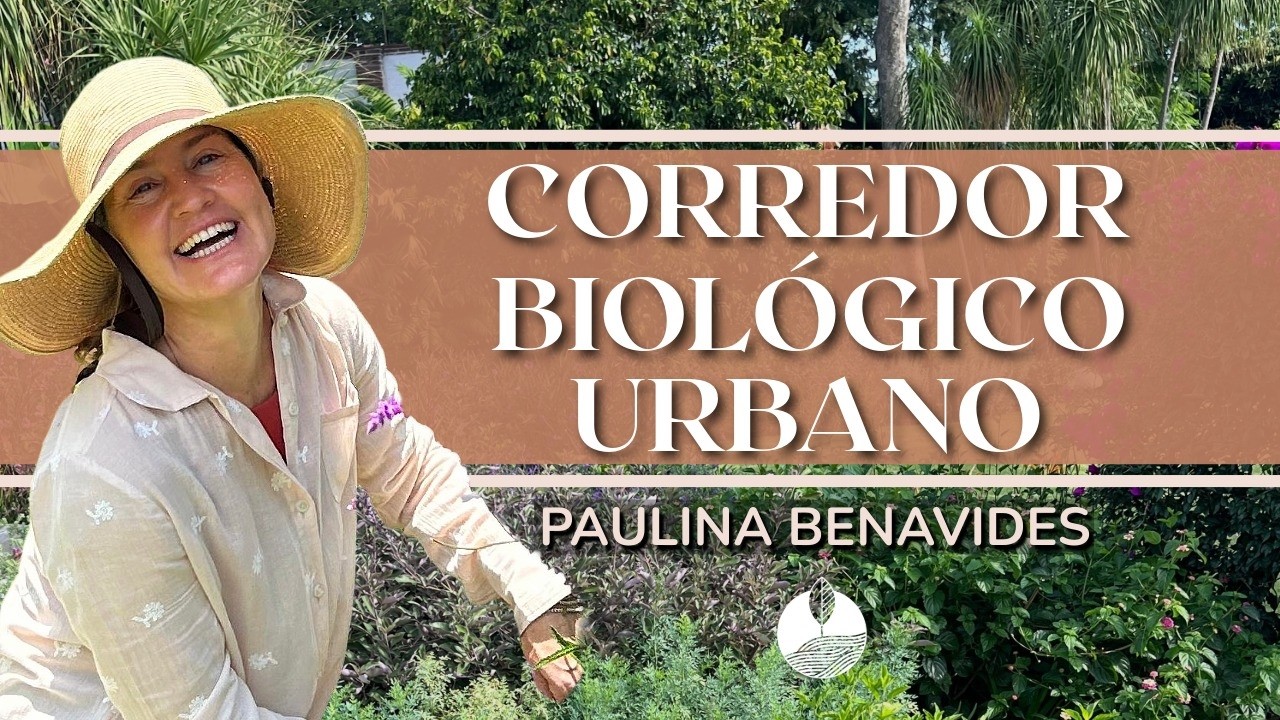 Cómo aprovechar cada rincón para crear un espacio verde que dure | Paulina Benavides