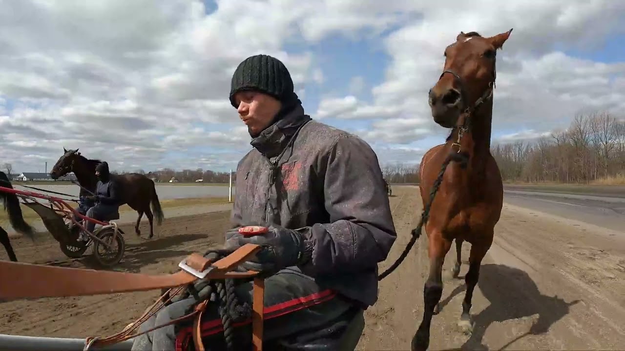 2022 Brett Pelling -- White Birch Farm -- USTrotting.com