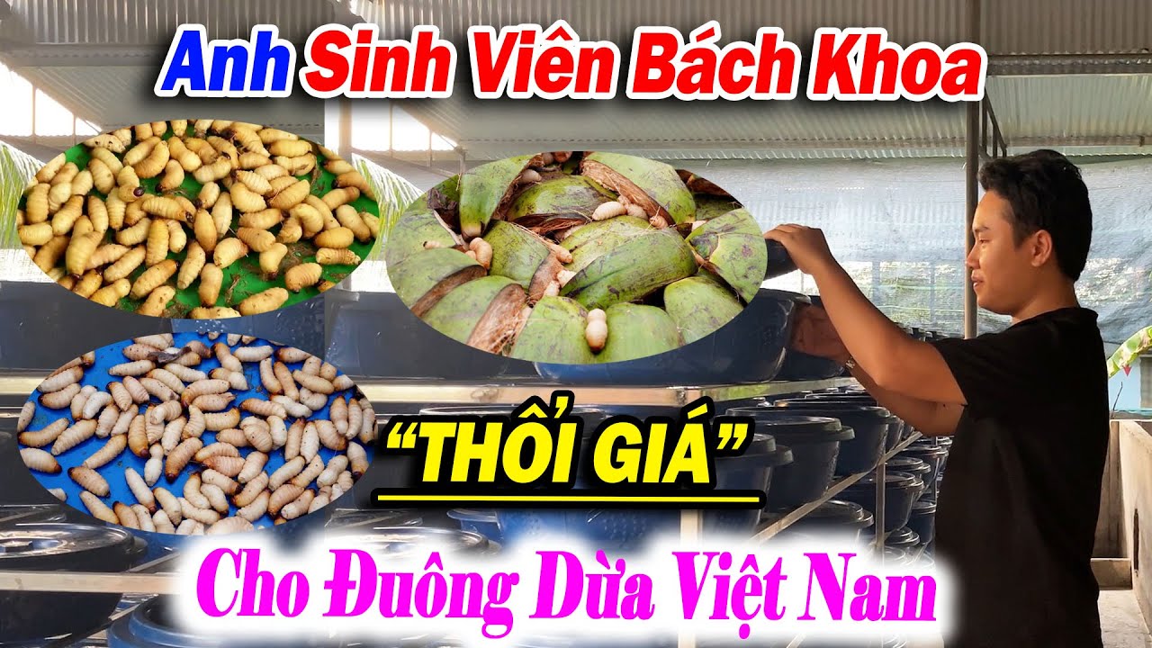 ANH SINH VIÊN BÁCH KHOA 