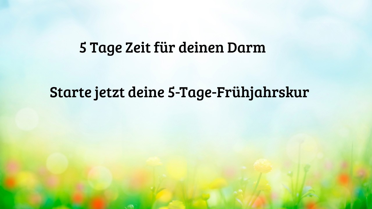 Darmkur statt Diät: 5 Tage fermentiertes Gemüse –  Videoserie - Für Anfänger geeignet