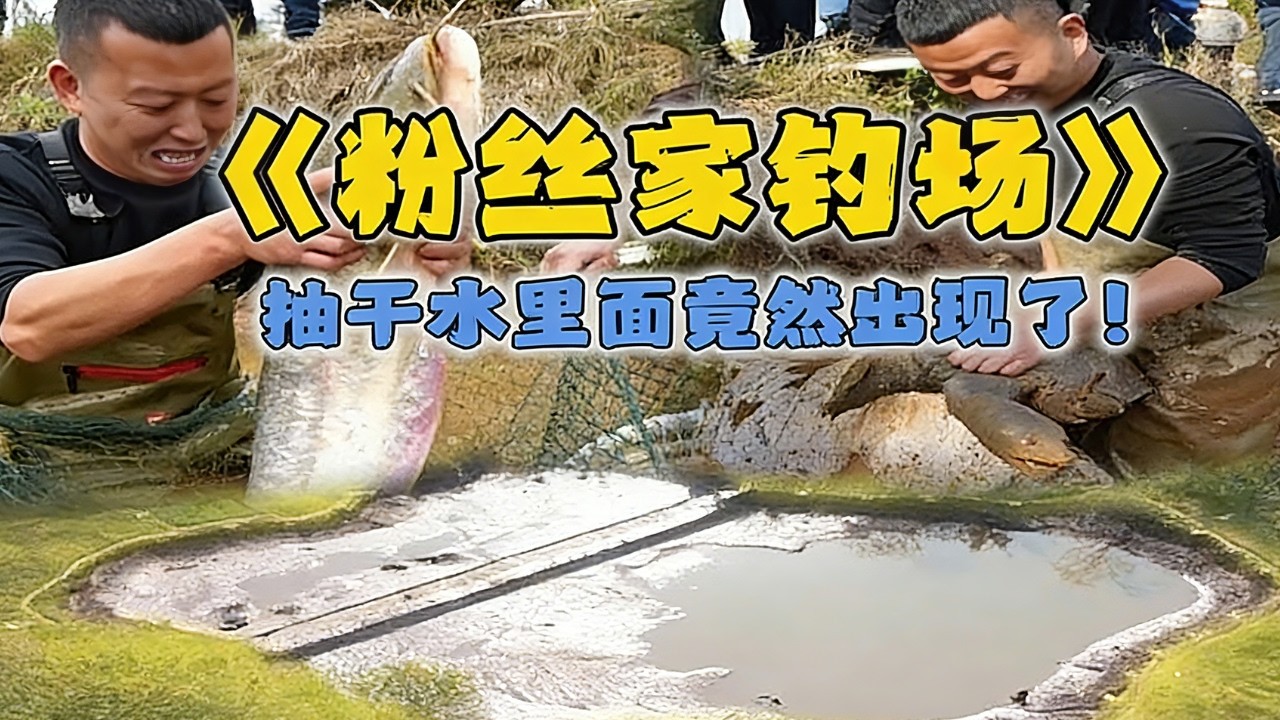 花28000包下粉絲家的釣場，抽乾水裡面竟然出現了這麼大的貨...#戶外 #魚塘 #抓魚 #甲魚 #fishing