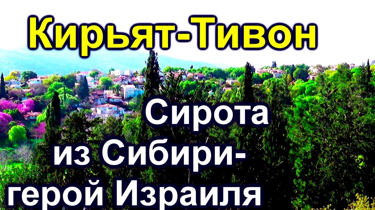 707.Кирьят -Тивон. Александр Зайд. Израиль