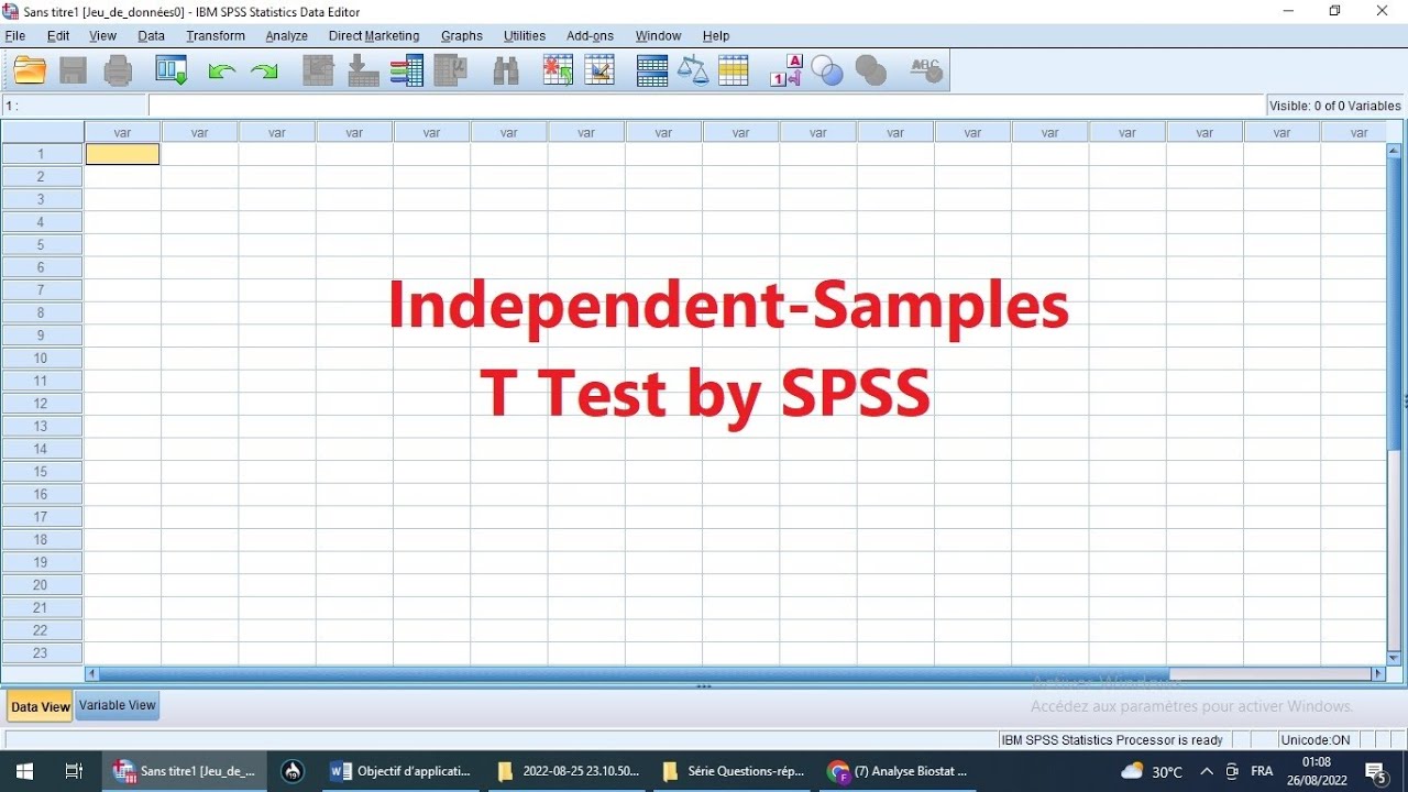 Independent Samples T Test by SPSS