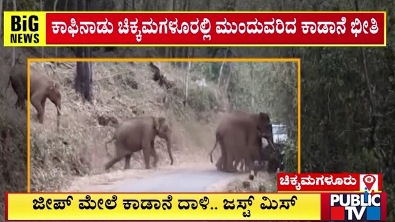 ಜೀಪ್‌ ಮೇಲೆ ಕಾಡಾನೆ ದಾಳಿ..ಜಸ್ಟ್‌ ಮಿಸ್‌ | Chikkamagaluru | Public TV