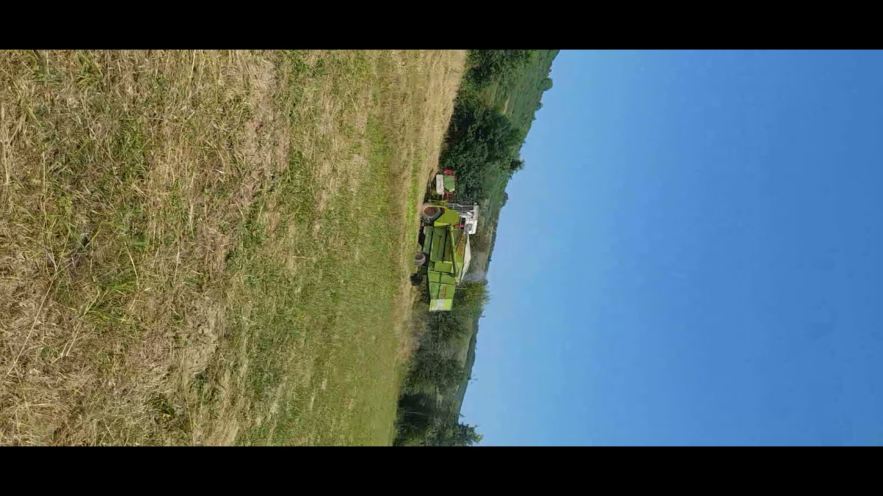 🔴❌LA RECOLTAT GRĂU/ORZ CU COMBINĂ CLASS ȘI TRACTOR UTB650❌🔴 