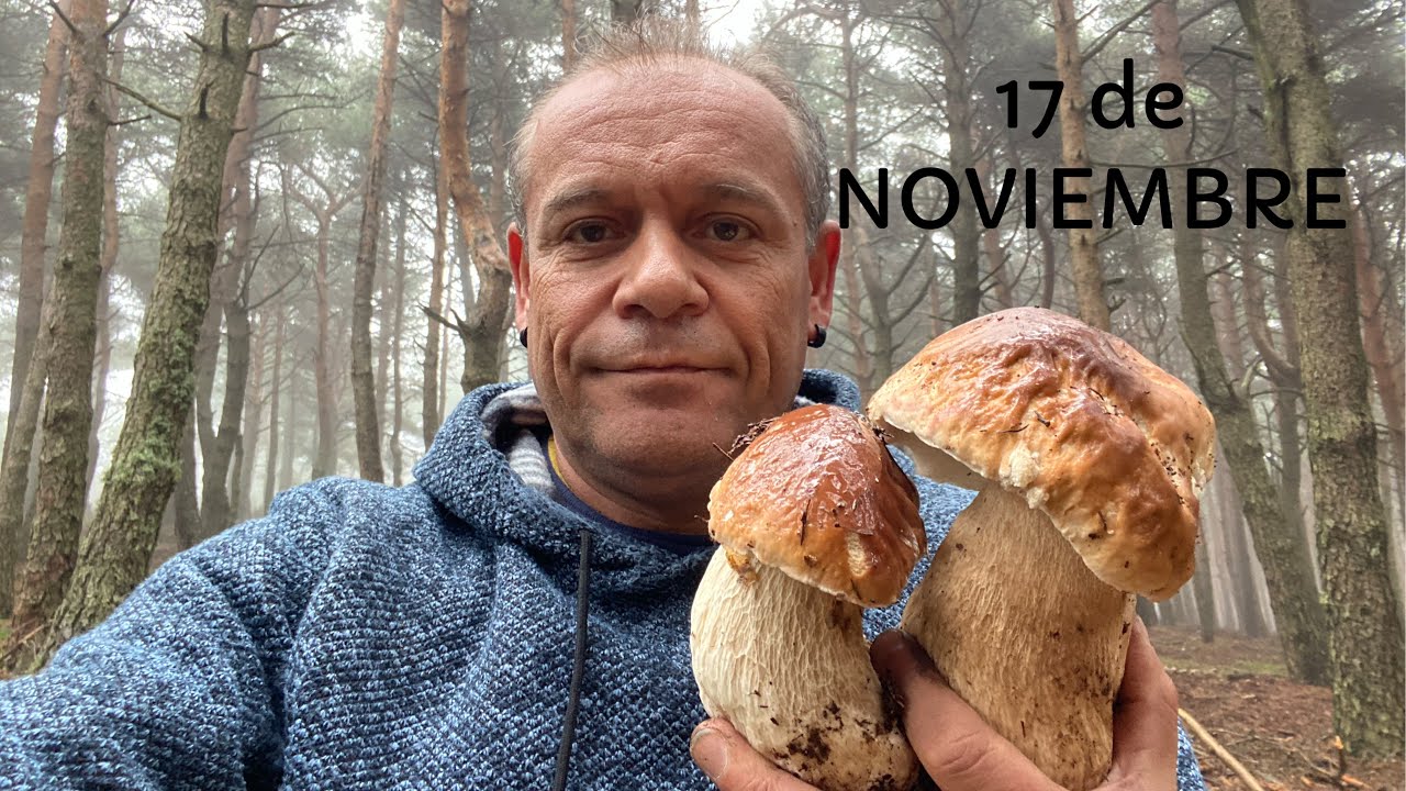 BOLETUS Y CAPUCHINAS 2023