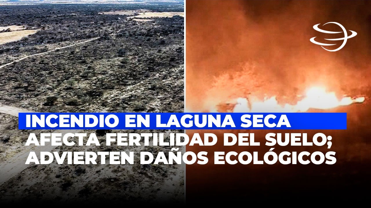 Incendio en Laguna Seca afecta fertilidad del suelo; SADER advierte daños ecológicos